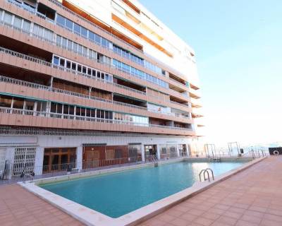 Apartment - Resale - Torrevieja - Acequion